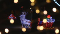 Why You Should Book Your Christmas Light Installation Early in Ann Arbor